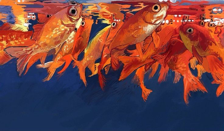 three orange fish swimming in the water with their heads turned to look like they are looking at each other