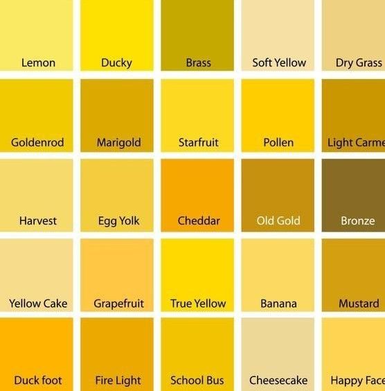 many shades of yellow and brown are shown in this color chart with the names on it