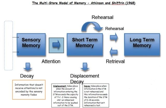 Memory Psychology, Psychological Concepts, Repressed Memories, Psychology A Level, Teaching Psychology, Block Notes, Types Of Memory, Human Memory, Psychology Notes