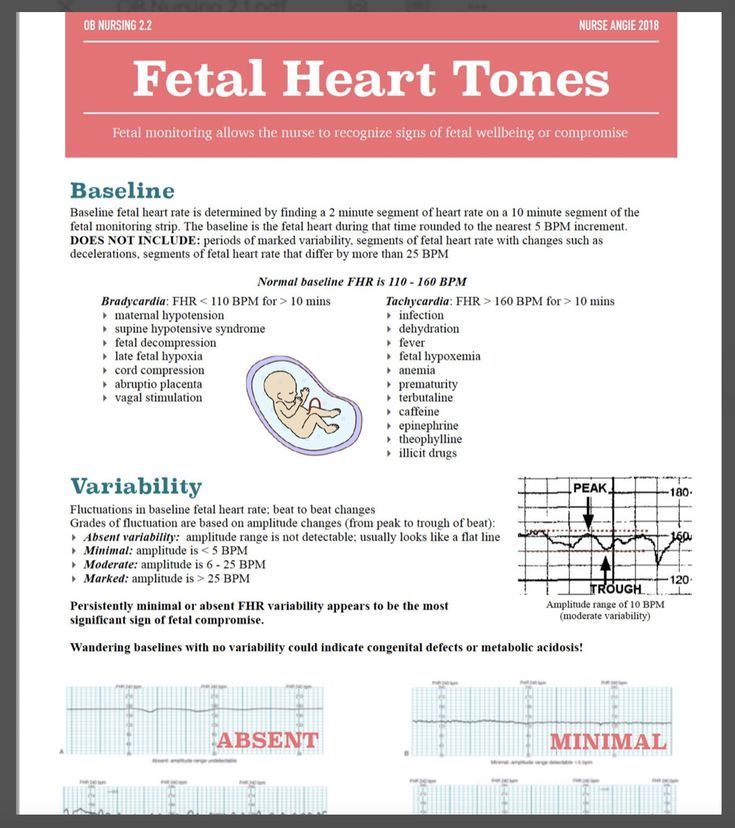 an image of a brochure with the words petal heart tones on it