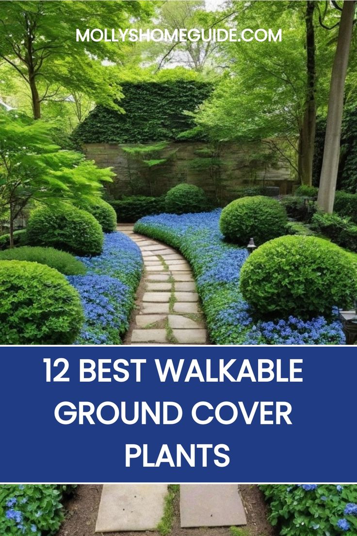 the best walkable ground cover plants to grow in your yard or garden, with text overlay that reads 12 best walkable ground cover plants