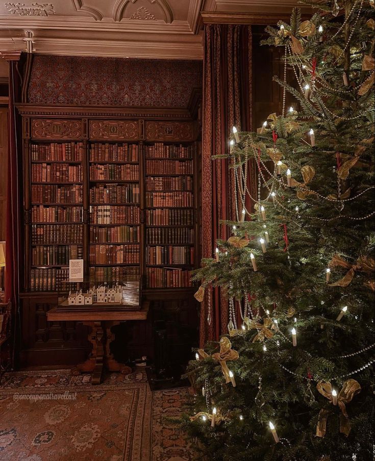 a christmas tree in the corner of a room with many bookshelves and lights