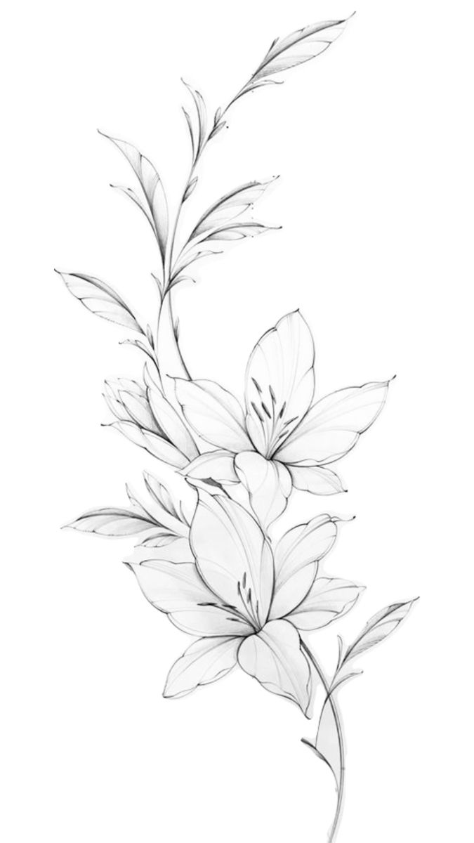 a drawing of some flowers on a white background