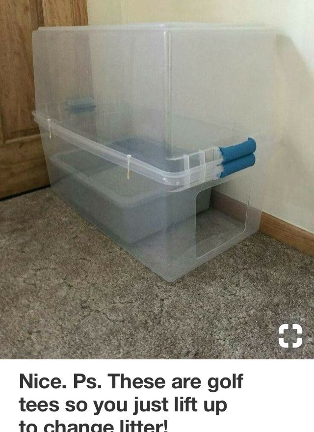 a plastic storage box sitting on top of a carpeted floor next to a door