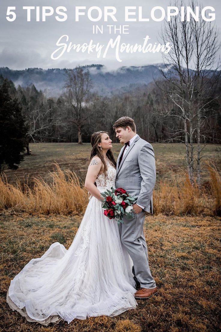 a bride and groom standing in the grass with text overlay that reads 5 tips for eloping in the smoky mountains