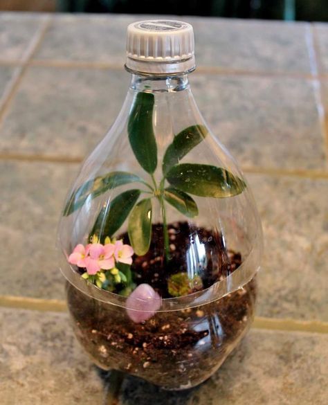 a glass bottle filled with plants on top of a counter