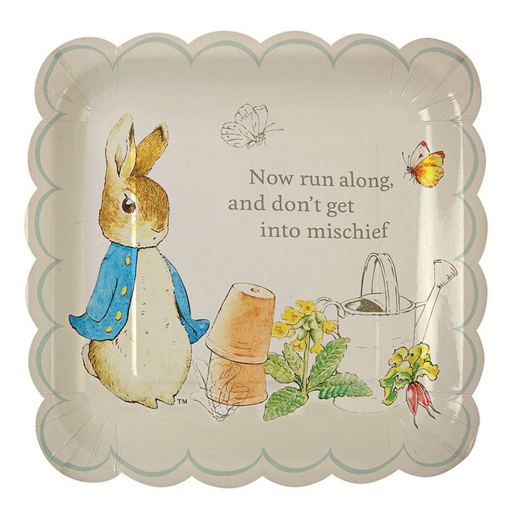 a plate with an image of a rabbit and flowers on it, says now run along and don't get into misshef