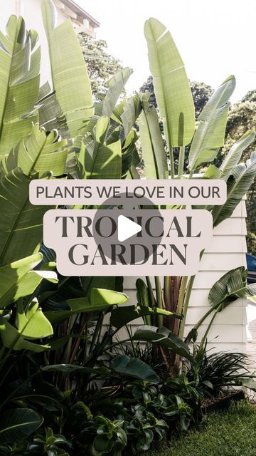 a sign that says plants we love in our tropical garden