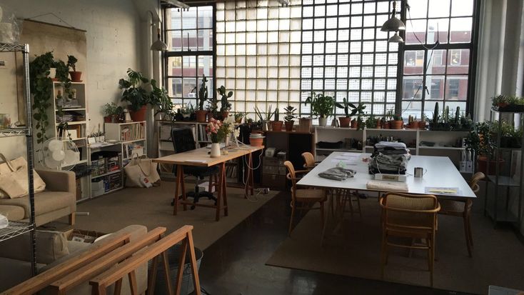 a living room filled with furniture and lots of potted plants on the windowsill