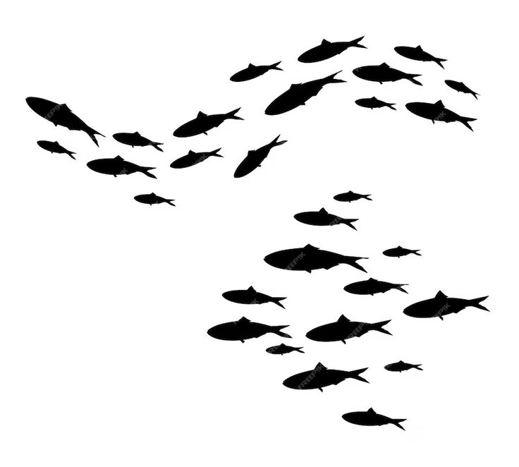 a flock of fish flying through the air