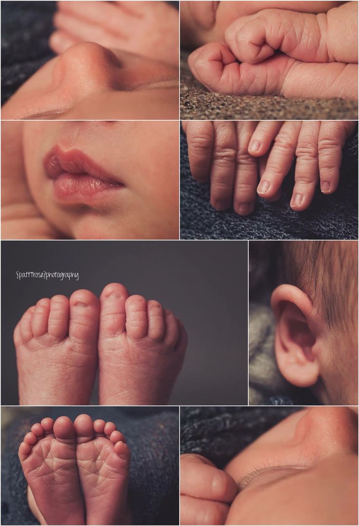 multiple images of baby's feet and hands, all showing the different parts of their body