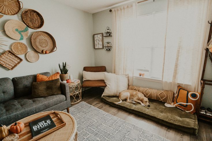 a living room with a dog laying on the floor next to a couch and coffee table