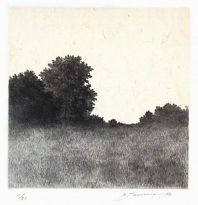 an ink drawing of trees and grass in the distance, with sky in the background