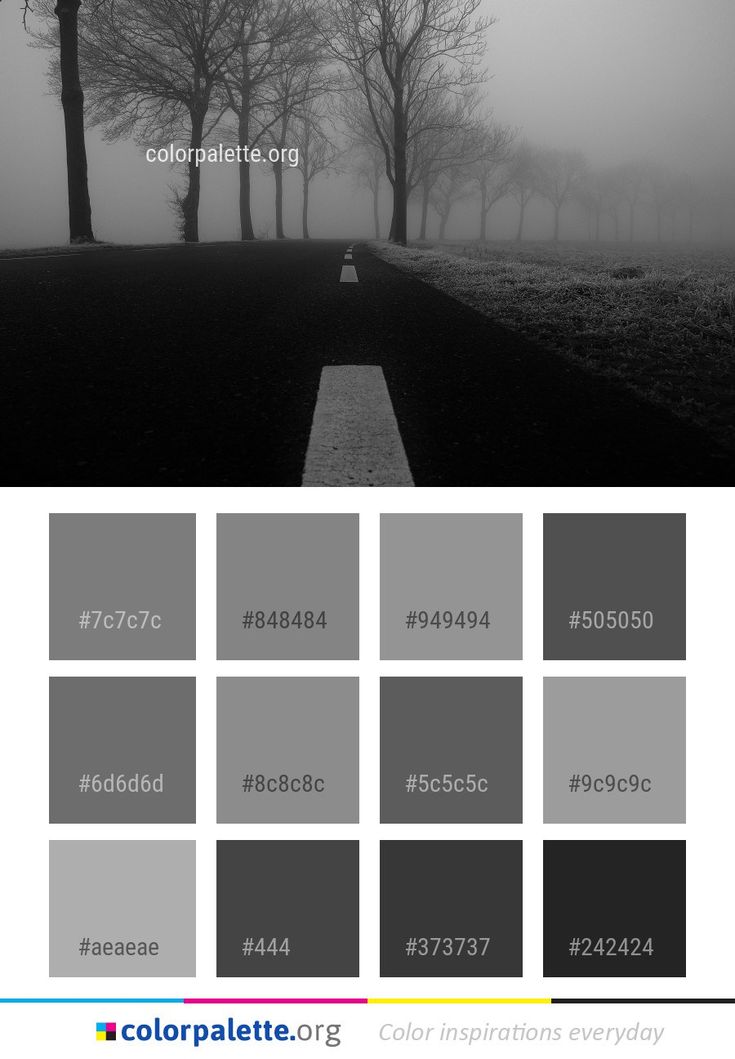 a black and white photo of trees in the fog with text that reads color palette