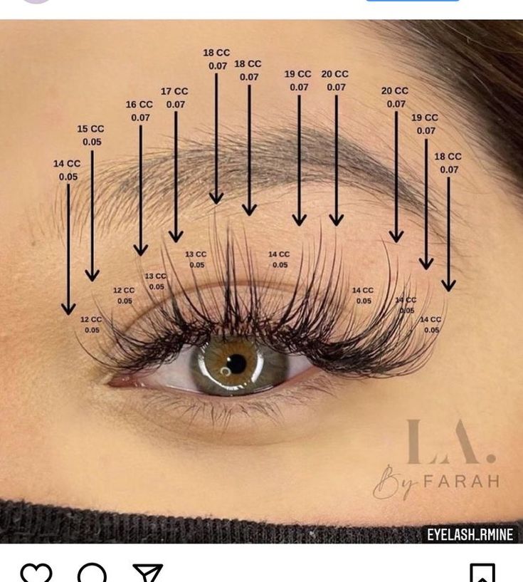 Light Volume Lashes, Lash Map, Natural Fake Eyelashes, Best Lash Extensions, Lashes Fake Eyelashes, Eyelash Tips, Eyelash Technician, Eyelash Extensions Styles, Lash Extensions Styles