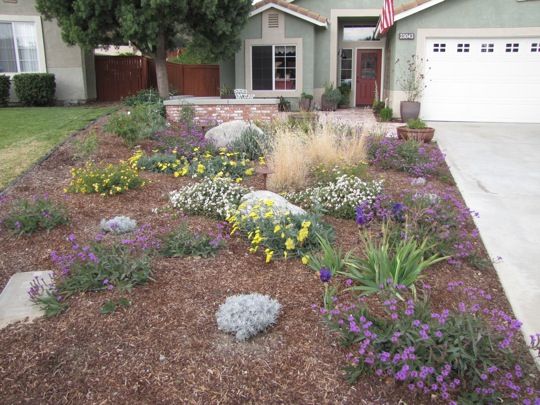 a front yard with flowers and rocks in the foreground