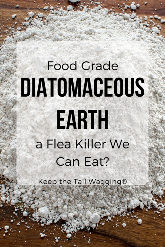 food grade diatomaceous earth with text overlay that reads, food grade diatomaceous earth a flea killer we can eat? keep the tail wagging