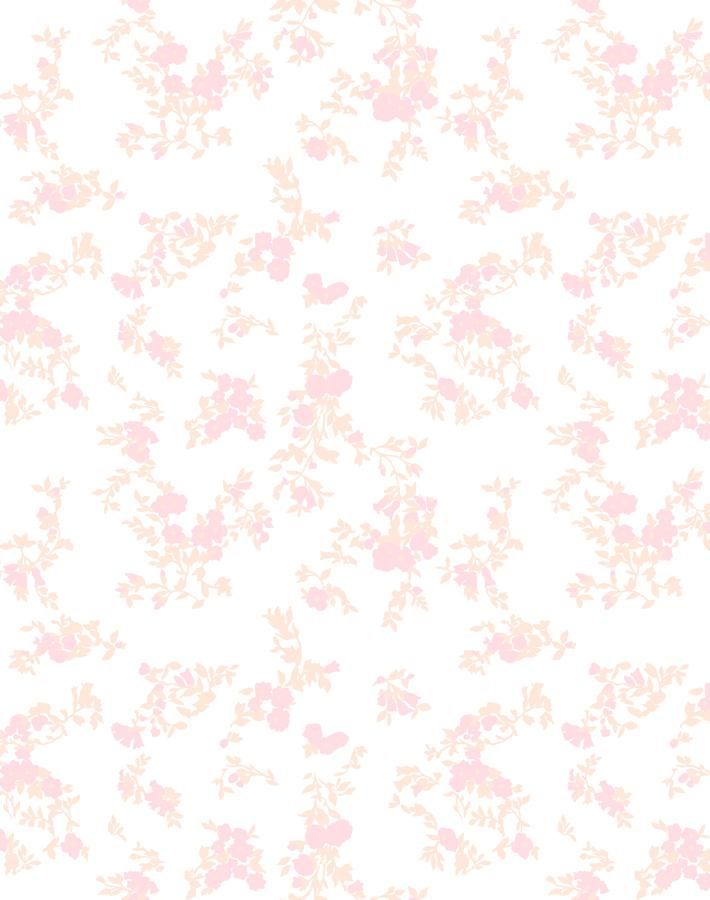 a white background with pink flowers on it