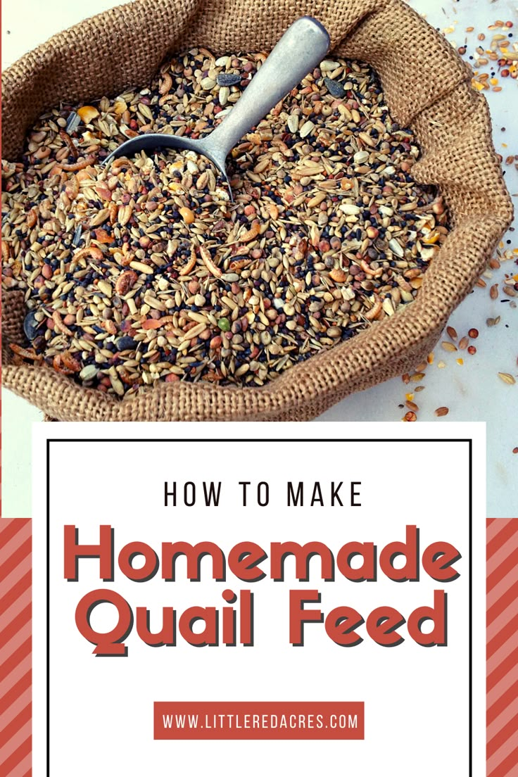 homemade quail feed in a bag with the title overlay