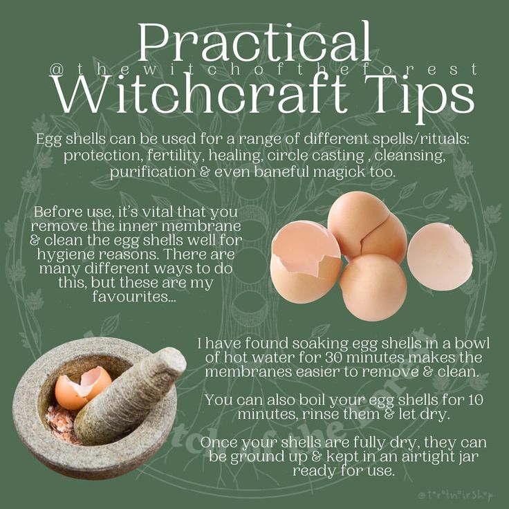 ✨ P𝕣𝕒𝕔𝕥𝕚𝕔𝕒𝕝 W𝕚𝕥𝕔𝕙𝕔𝕣𝕒𝕗𝕥 T𝕚𝕡𝕤✨ Egg shells have so many magickal uses, but before they are used, make sure they have been cleansed and the inner membrane removed so the shells are hygienic. There are... Egg Shell Magical Properties, Practical Witchcraft, Egg Shell Uses, Shell Magic, Witchcraft Tips, Wiccan Magic, Witch Spirituality, Kitchen Witchery, Magick Book