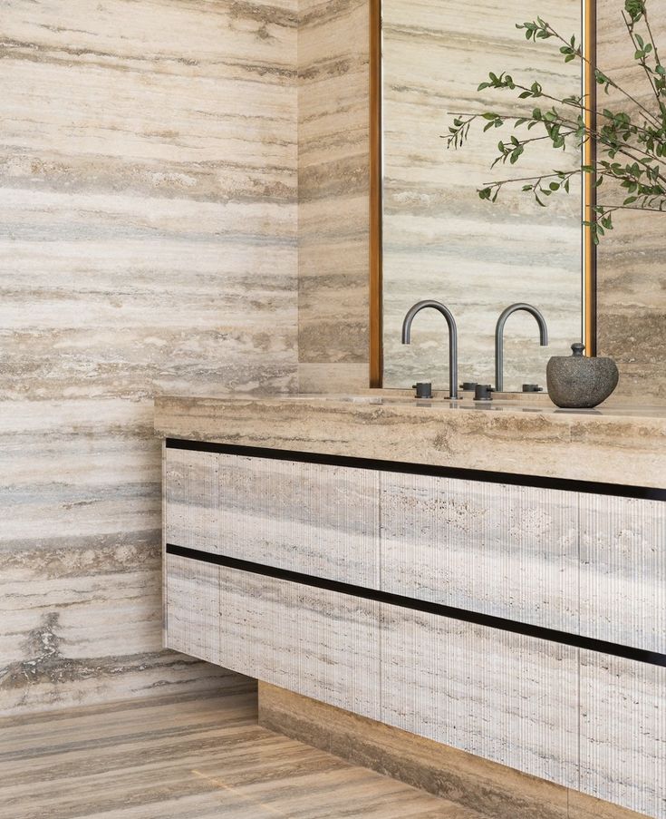 a bathroom sink with two faucets and a mirror above it, next to a plant