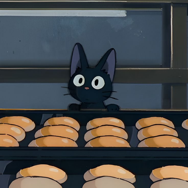 a black cat sitting in front of some donuts