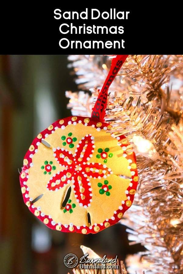 an ornament hanging from a christmas tree with the words sand dollar christmas ornament on it