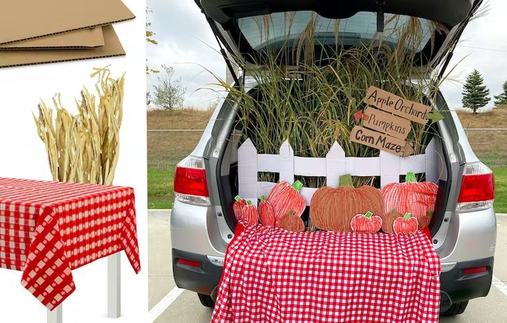 the back of a car with a table and pumpkins on it