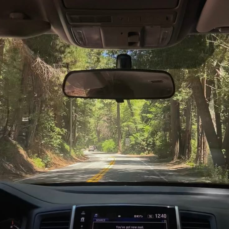 the inside view of a car driving down a tree lined road