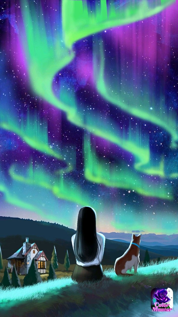 a person sitting on the ground looking at an aurora bore in the sky with purple and green lights