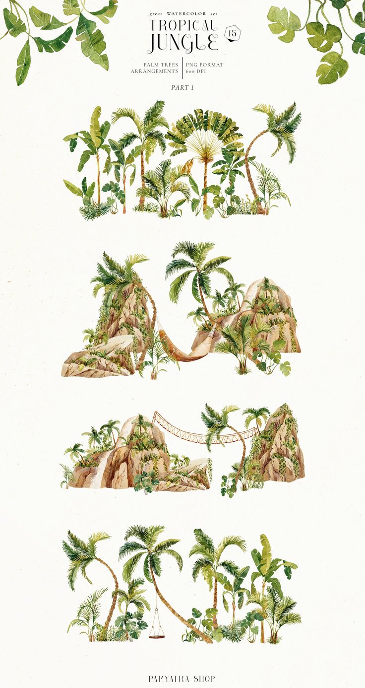 an illustration of tropical jungles and palm trees in various stages of development, from the earliest to the present day