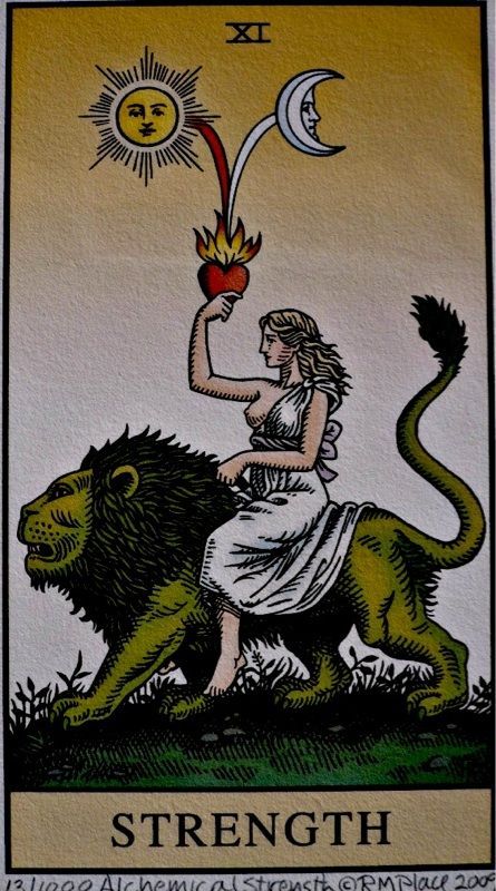 a woman sitting on top of a lion next to a taroti card with the letter