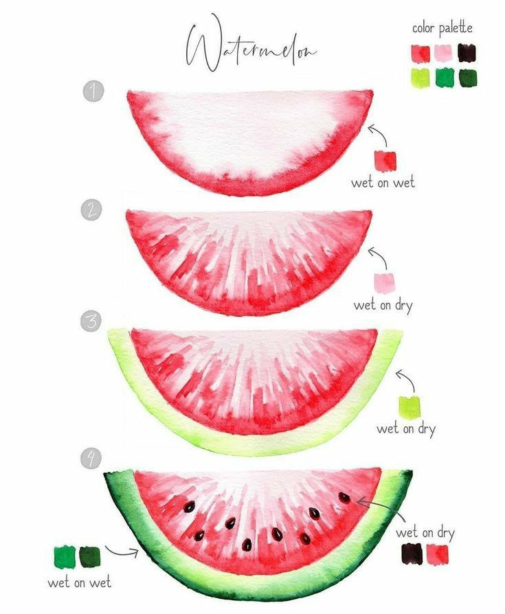 watermelon slices are shown with the names and colors for each slice in this illustration