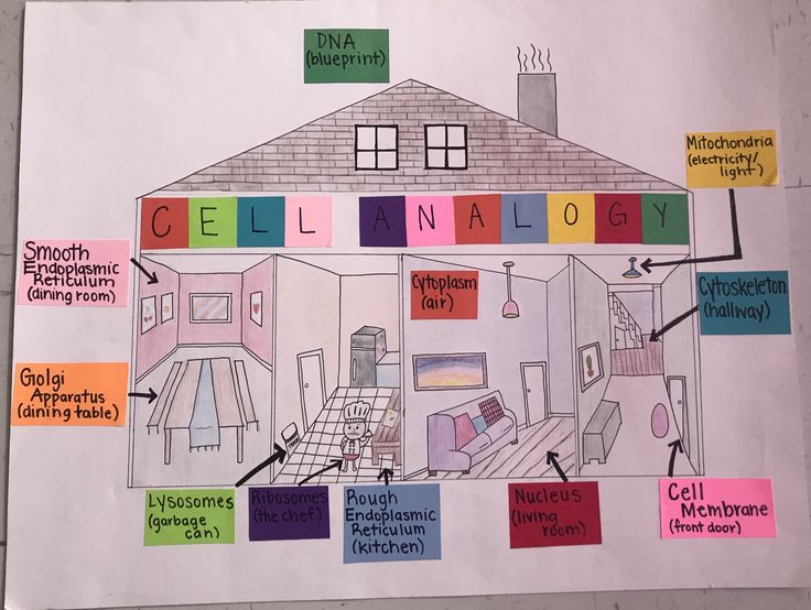 a drawing of a house labeled in different colors