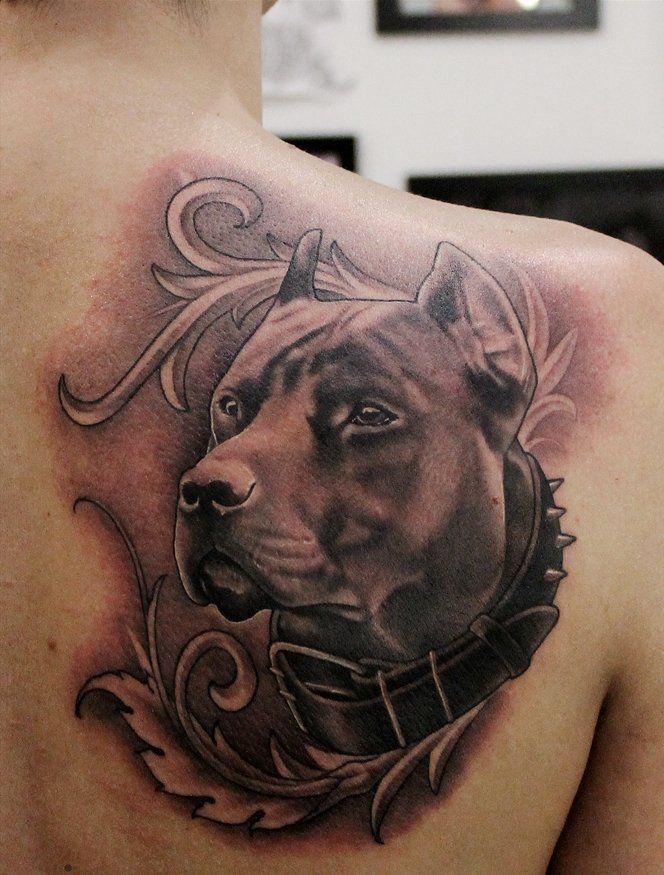 a man with a tattoo on his back that has a dog's head in the center