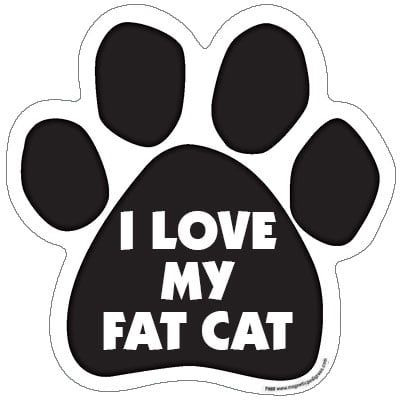 I Love My Fat Cat Paw Shaped Magnet Go ahead and express your inner pet with our Paw Magnets! Paws measure 5.5" x 5.5". These are printed with UV and water resistant ink and are proudly made in the USA. Size: 5 x 5 x 0.25. Paw Decorations, Fat Cat, Cat Paw, Fat Cats, Cat Paws, Go Ahead, Magnets, Water Resistant, I Love