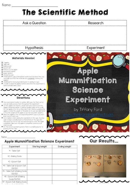 an apple themed science experiment is shown in this printable worksheet for kids