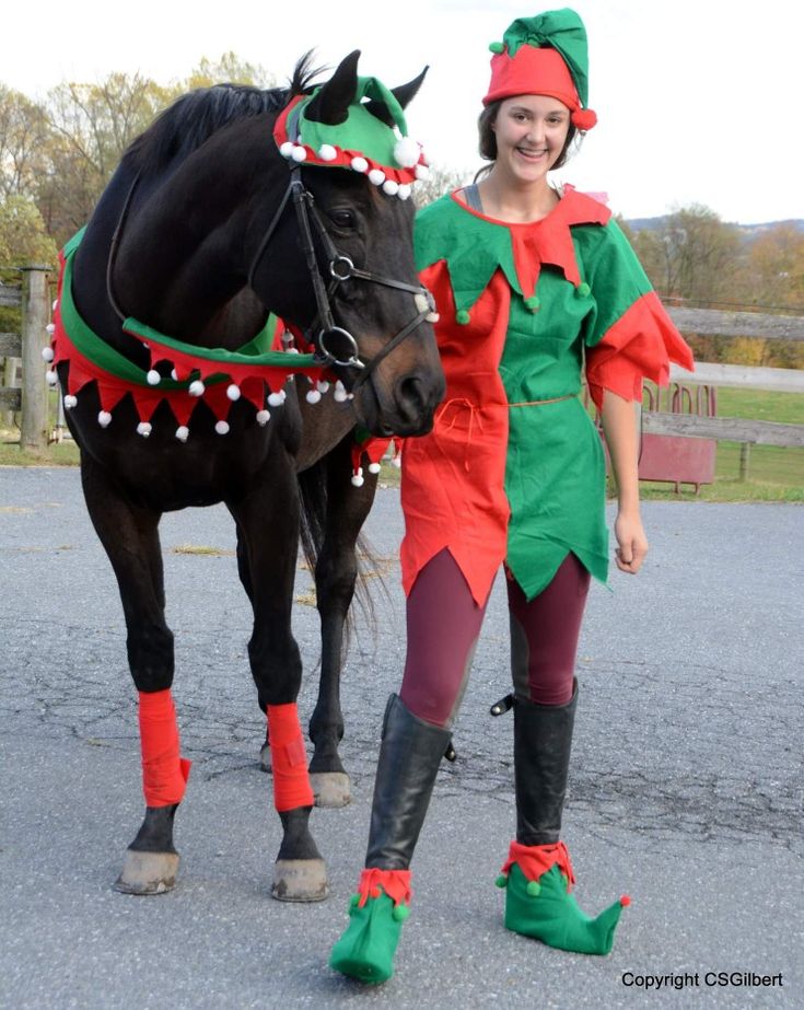 a woman standing next to a black horse wearing christmas clothes and boots with red socks