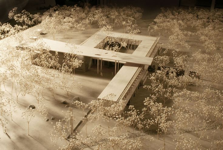 an abandoned building surrounded by tall grass and weeds in sepia tone with light coming through the window