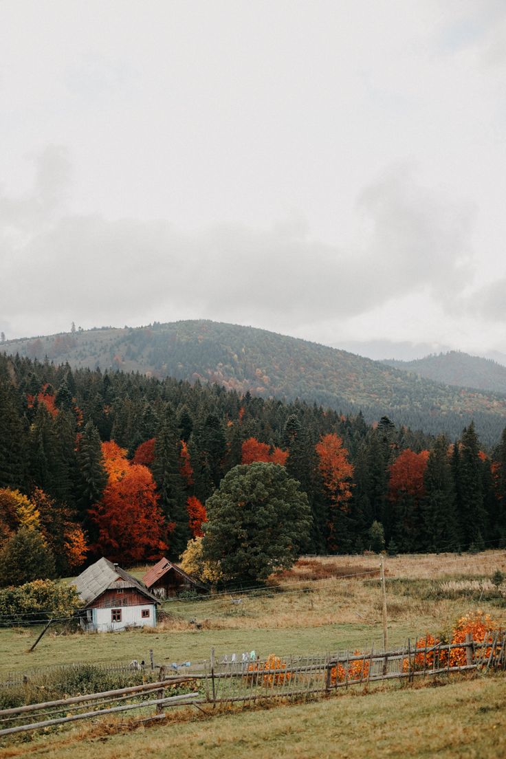 an old barn sits in the middle of a field with trees and mountains behind it