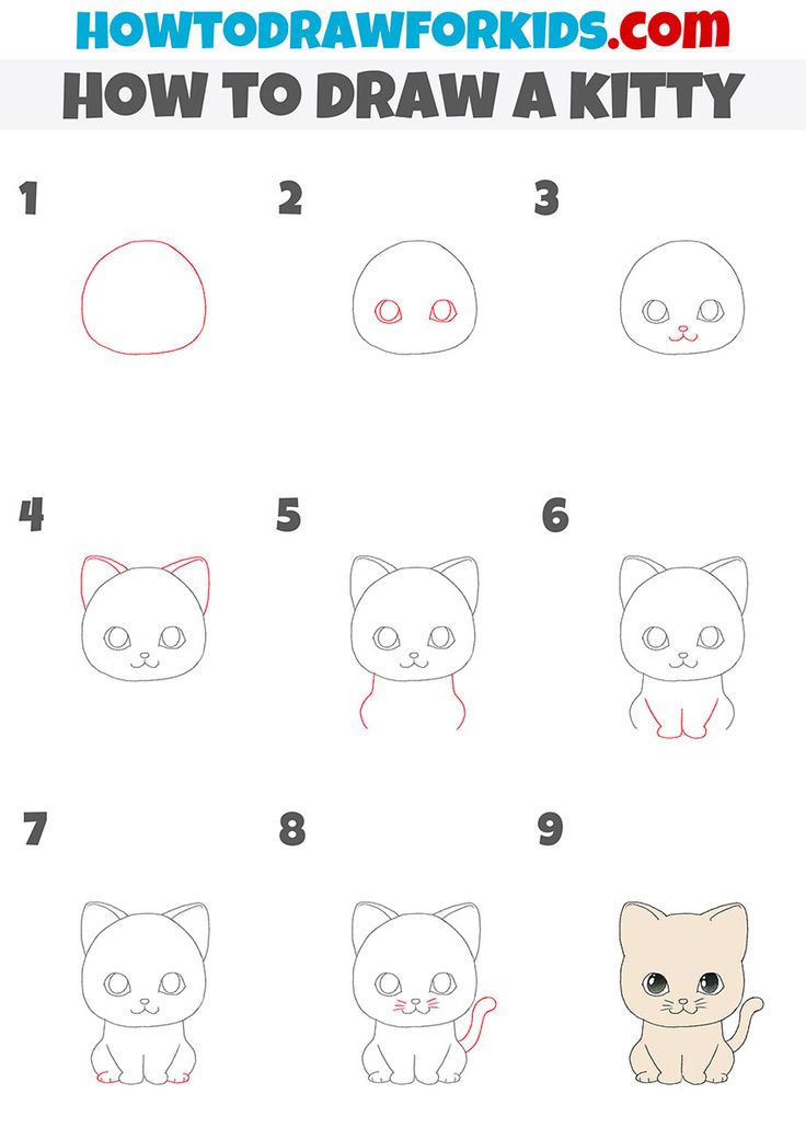 how to draw a cute cat for kids with step by step instructions - learn how to draw