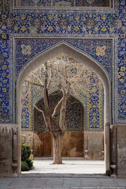 an archway with a tree in the middle