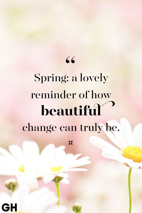 daisies with the quote spring lovely reminder of how beautiful change can truly be,