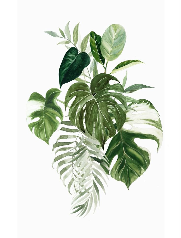 a watercolor painting of green leaves on a white background