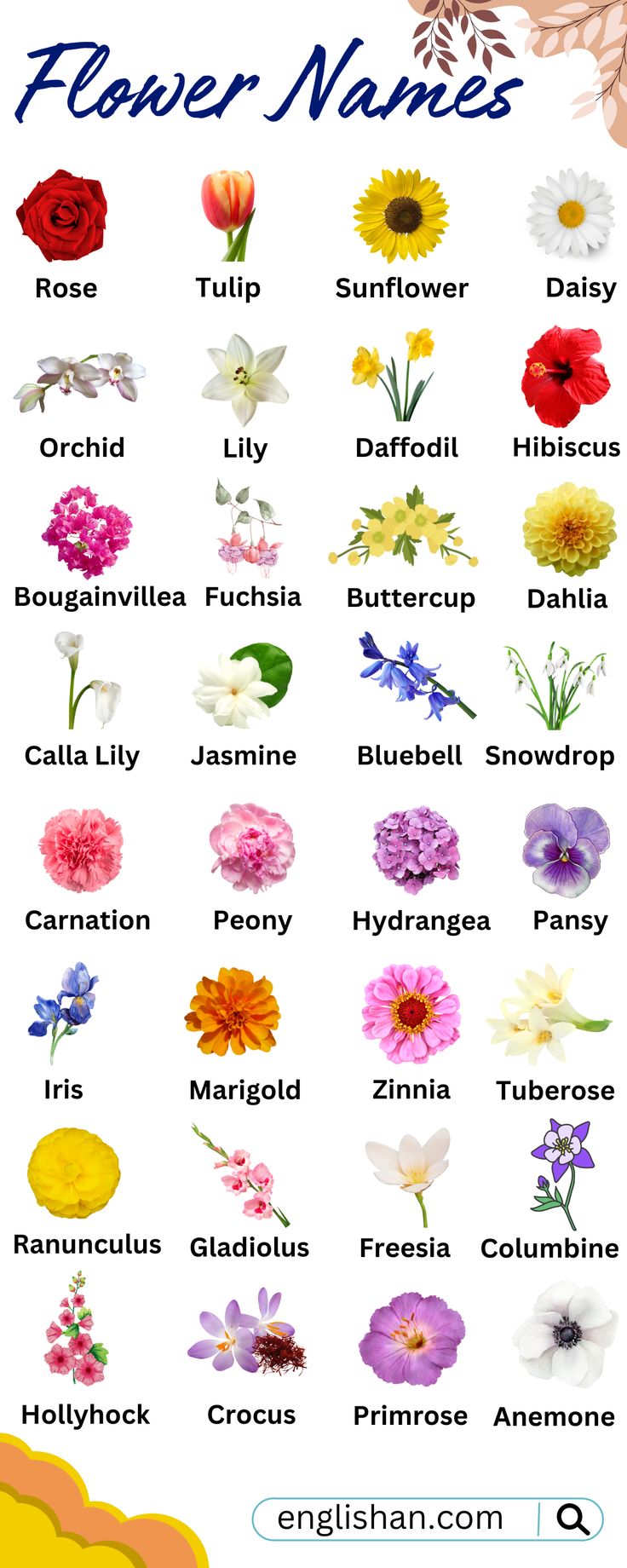 All Flowers Names in English English Vocabulary All Flowers Name, Flowers Name In English, Pretty Flower Names, Colors And Meanings, English Names, Different Kinds Of Flowers, Walls Art, Magia Das Ervas, Different Types Of Flowers