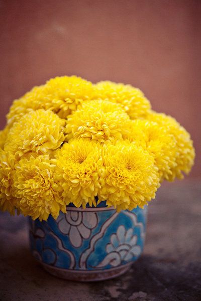 a blue and white vase filled with yellow flowers