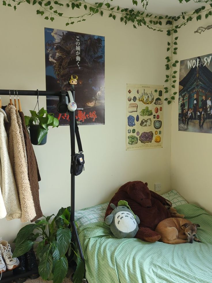 a dog laying on top of a green bed in a room with posters and plants