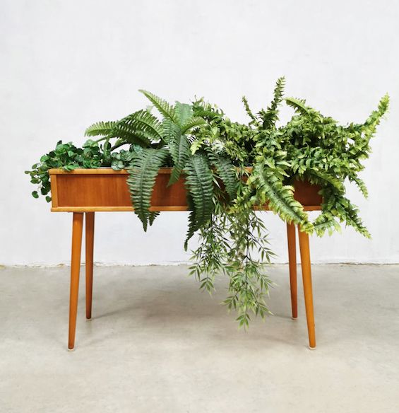 a wooden table topped with green plants on top of cement floor next to white wall