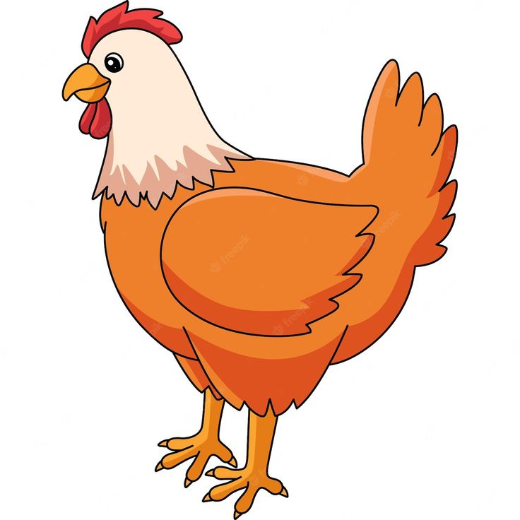 an orange and white chicken standing on its hind legs