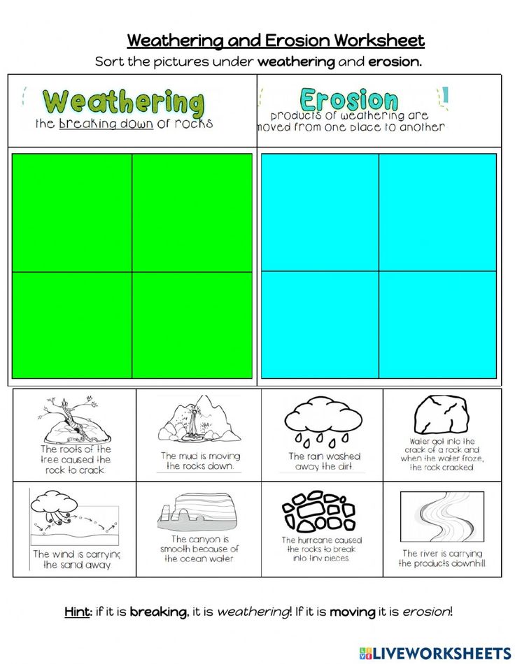 weather and climate worksheet for kids to practice their skills on the earth's surface